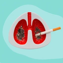 WhatsApp Image 2026-03-11 at 10.59.16 AM (2)